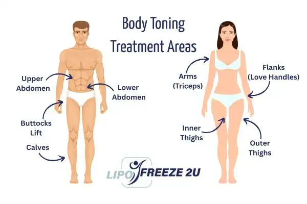 Graphic showing where you can have Body toning Treatment Tyne & Wear on your body